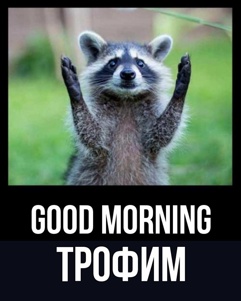 Greetings card с именем, Трофим Good morning хорошее настроение утречком Greetings with text for free download 