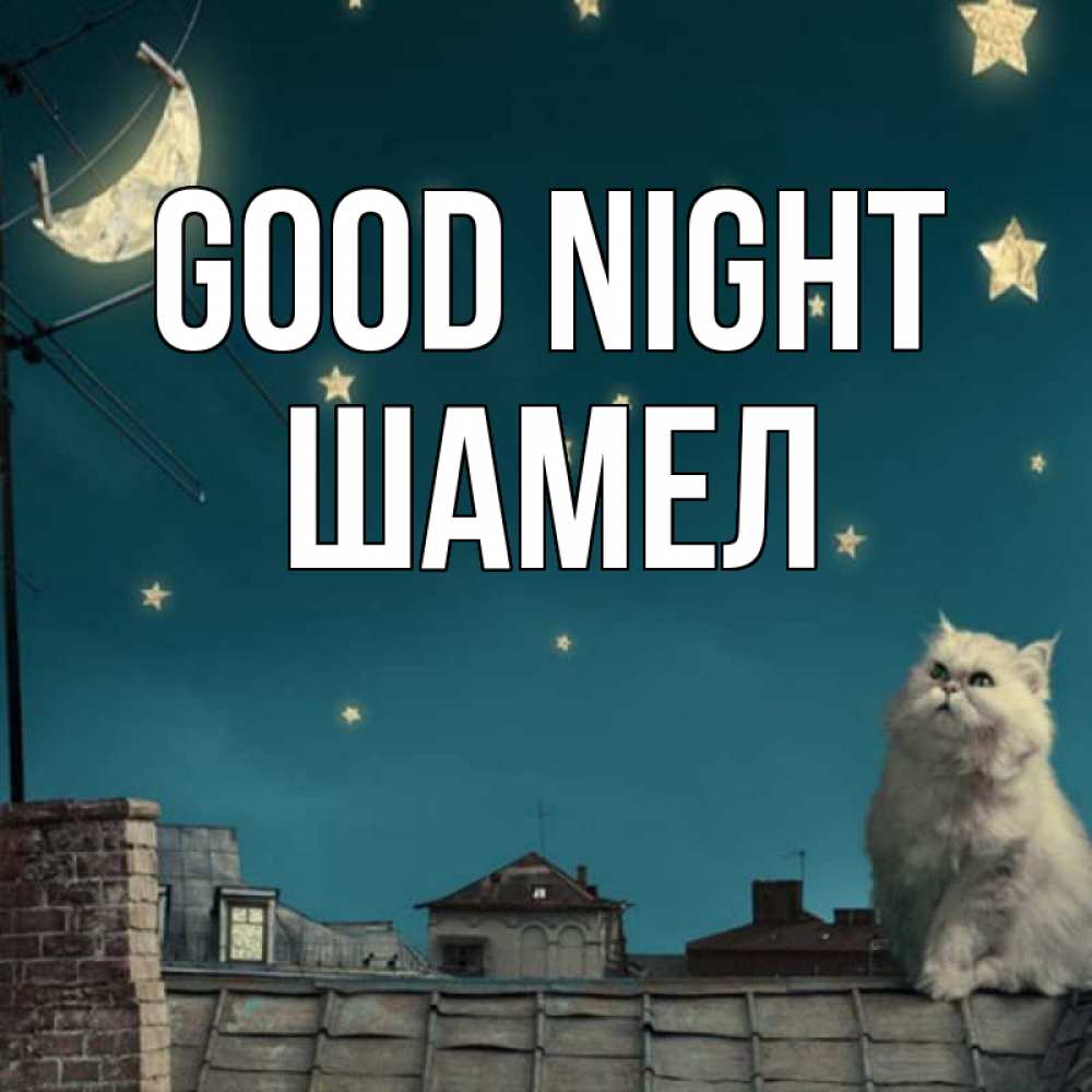 Greetings card с именем, ШАМЕЛ Good night белый кот сидит на крыше Greetings with text for free download 