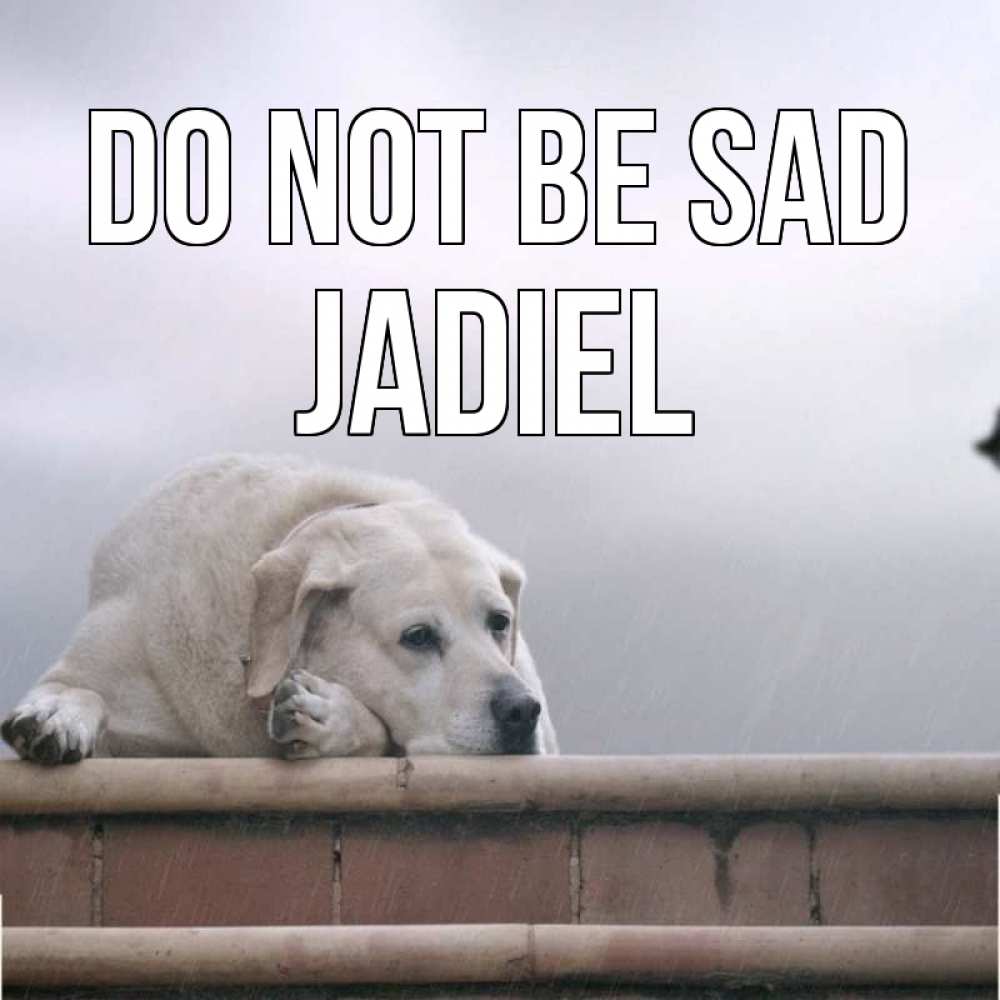 Greetings card с именем, Jadiel Do not be sad белый пес 1 Greetings with text for free download 