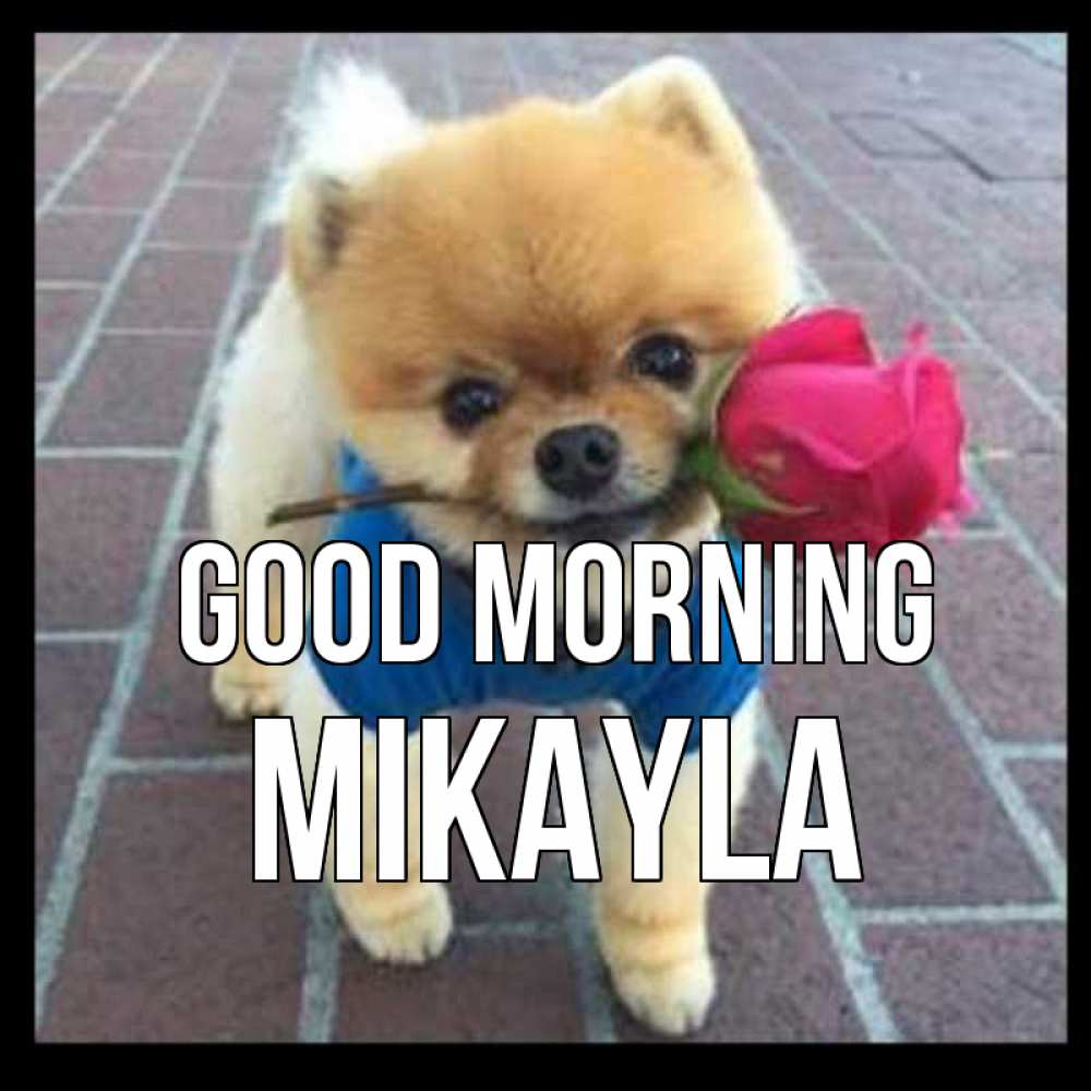 Greetings card с именем, Mikayla Good morning роза в зубах Greetings with text for free download 