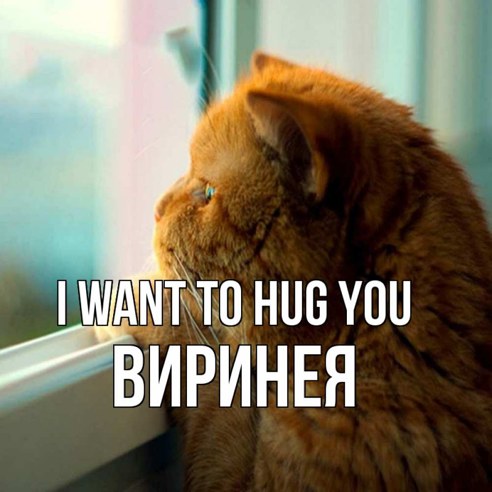 Greetings card с именем, Виринея I want to hug you большой огромный рыжий котяра Greetings with text for free download 