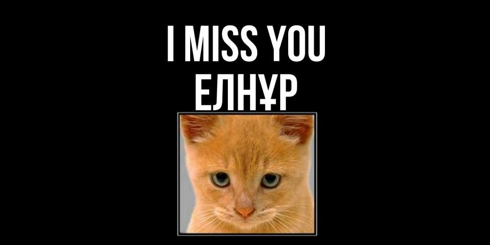 Greetings card с именем, Елнұр I miss you открытки рыжий котенок скучает по тебе Greetings with text for free download 