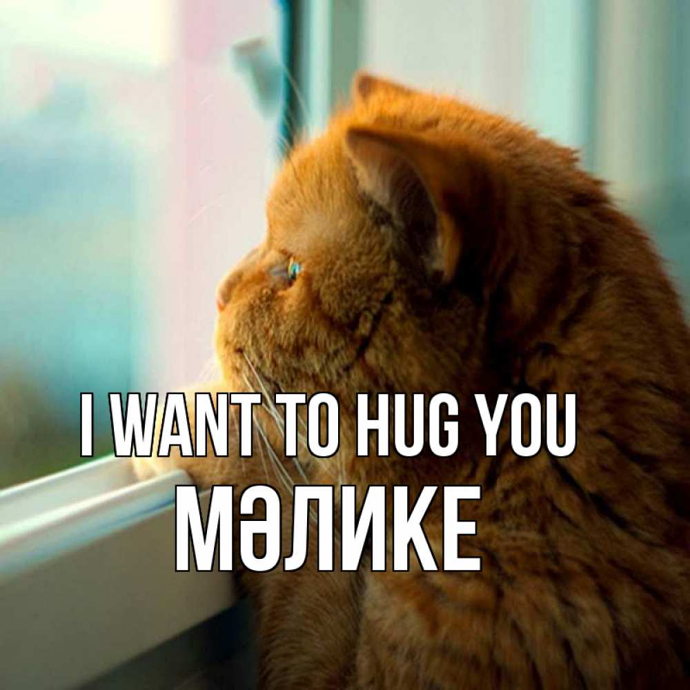 Greetings card с именем, МӘЛИКЕ I want to hug you большой огромный рыжий котяра Greetings with text for free download 