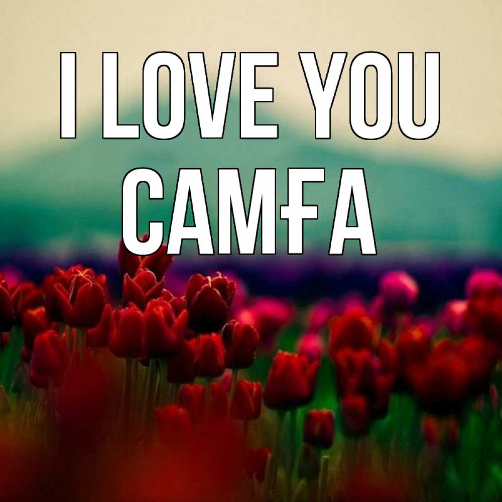 Greetings card с именем, САМҒА I love you тюльпаны 4 Greetings with text for free download 