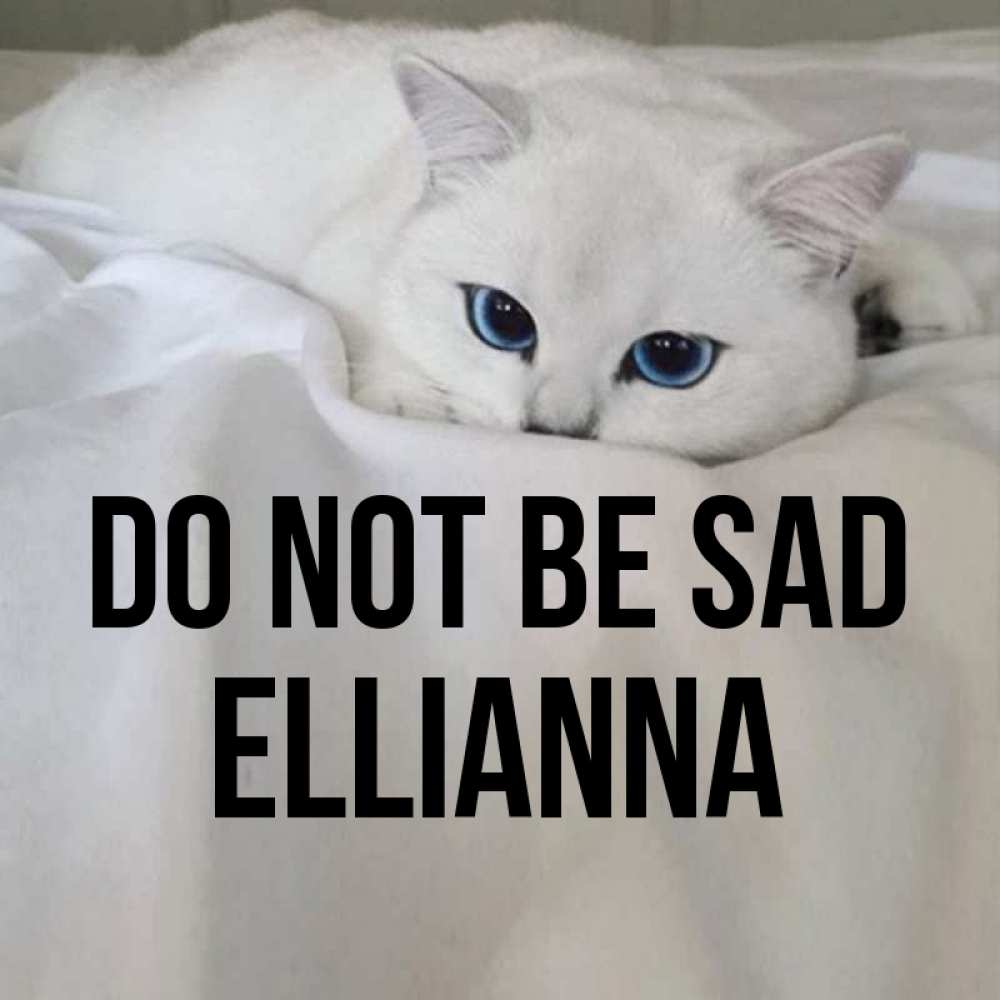 Greetings card с именем, Ellianna Do not be sad Голубоглазая кошка Greetings with text for free download 