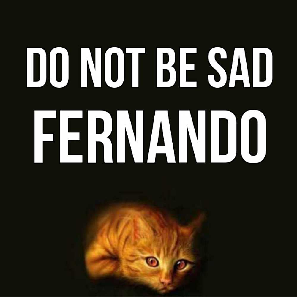 Greetings card с именем, Fernando Do not be sad лежащий кот в темноте Greetings with text for free download 