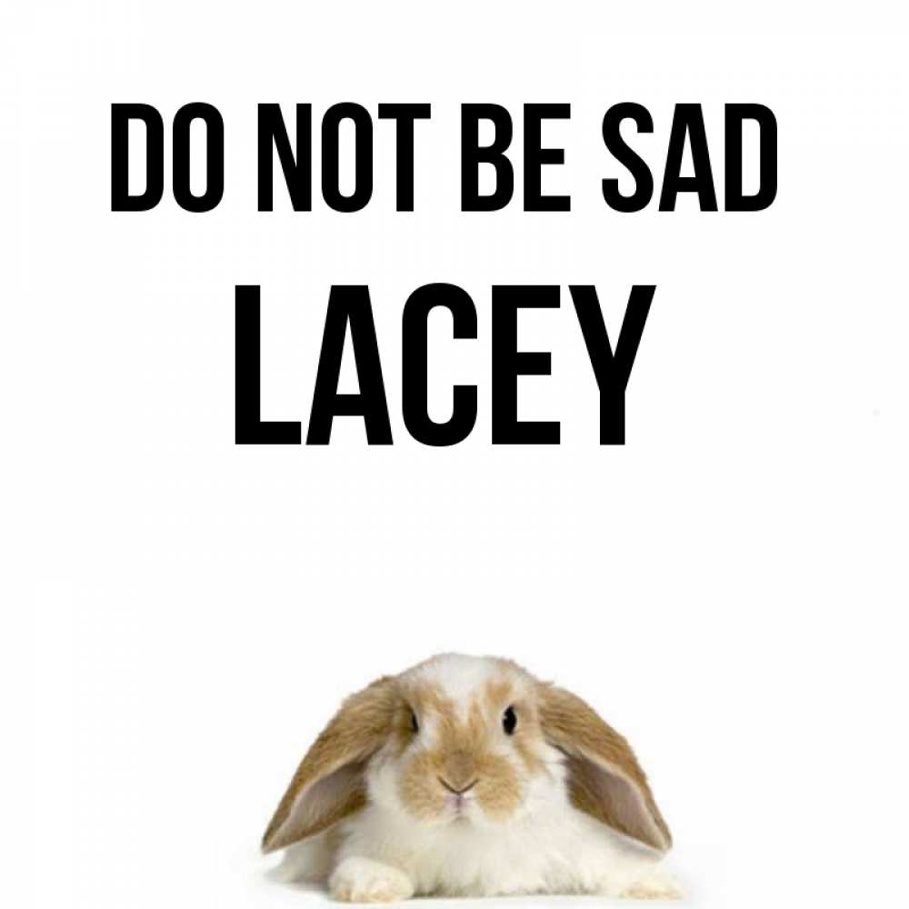 Greetings card с именем, Lacey Do not be sad коричнево белый заяц с большими ушками Greetings with text for free download 