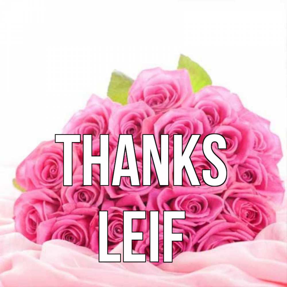 Greetings card с именем, Leif Thanks розовые розы с подписью Greetings with text for free download 