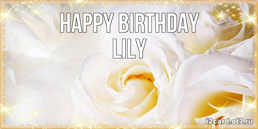Greetings card с именем, Lily Happy Birthday красивые розы и капли росы на этих чудесных цветах Greetings with text for free download 