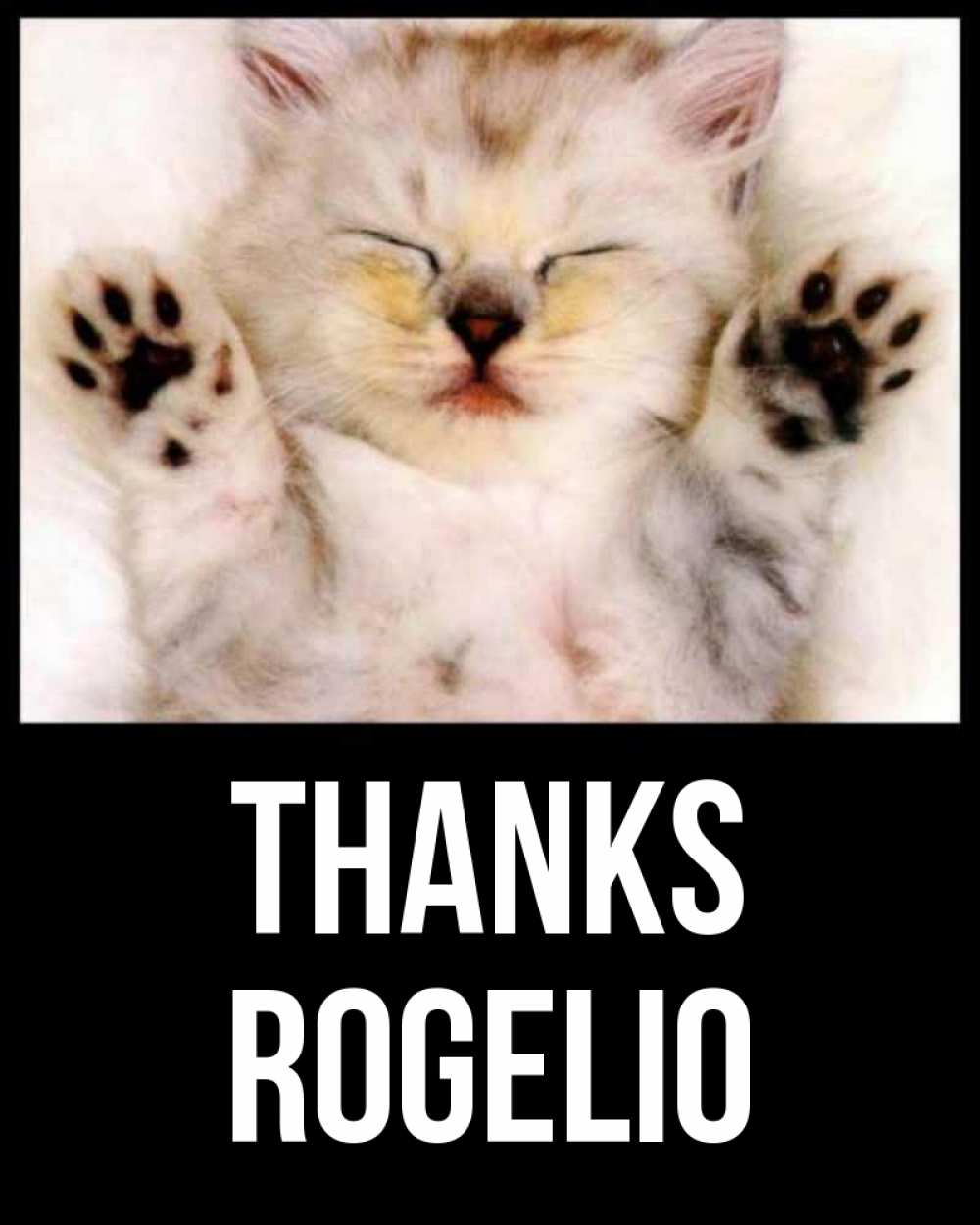 Greetings card с именем, Rogelio Thanks маленький котенок Greetings with text for free download 