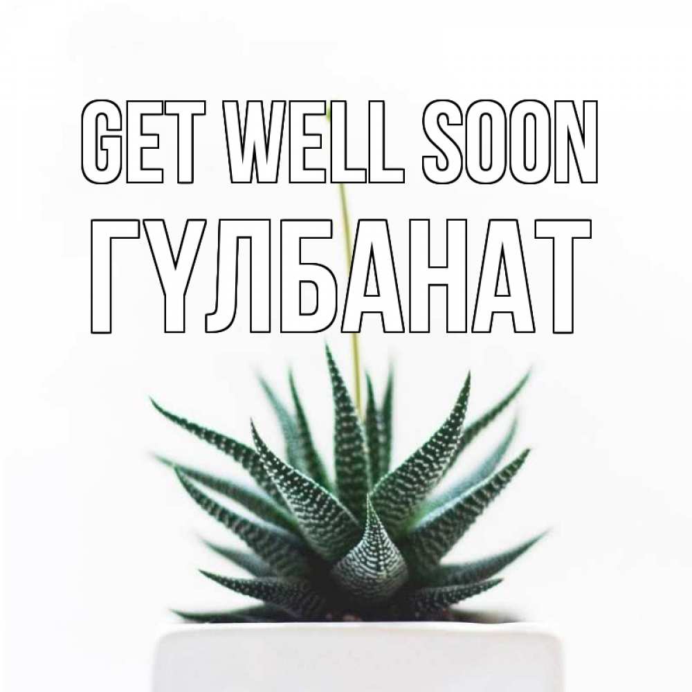 Greetings card с именем, ГҮЛБАНАТ Get well soon короче это непонятная колючка Greetings with text for free download 