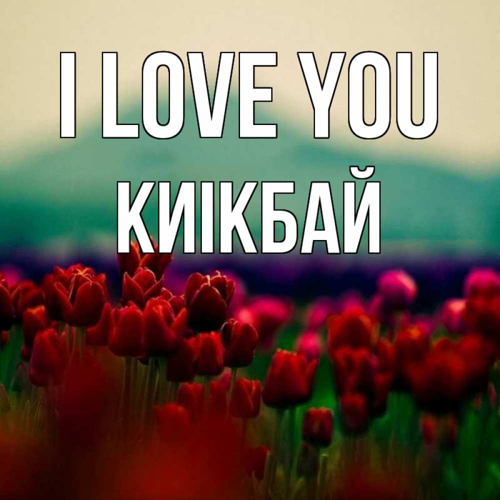 Greetings card с именем, Киікбай I love you тюльпаны 4 Greetings with text for free download 