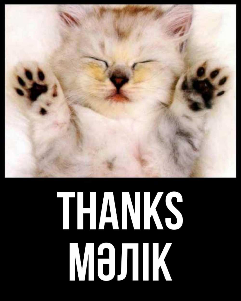 Greetings card с именем, МӘЛІК Thanks маленький котенок Greetings with text for free download 