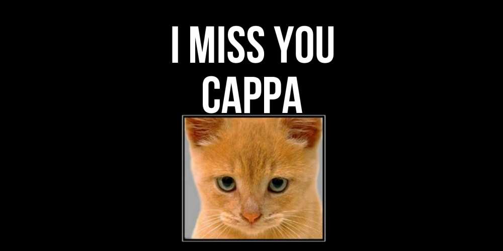 Greetings card с именем, Сарра I miss you открытки рыжий котенок скучает по тебе Greetings with text for free download 