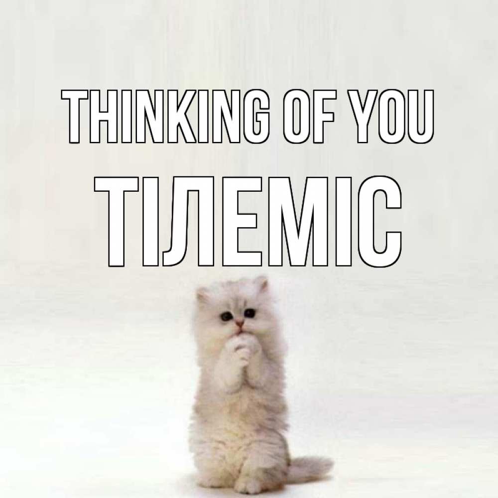 Greetings card с именем, ТІЛЕМІС Thinking of you кот стоит на задних лапах Greetings with text for free download 