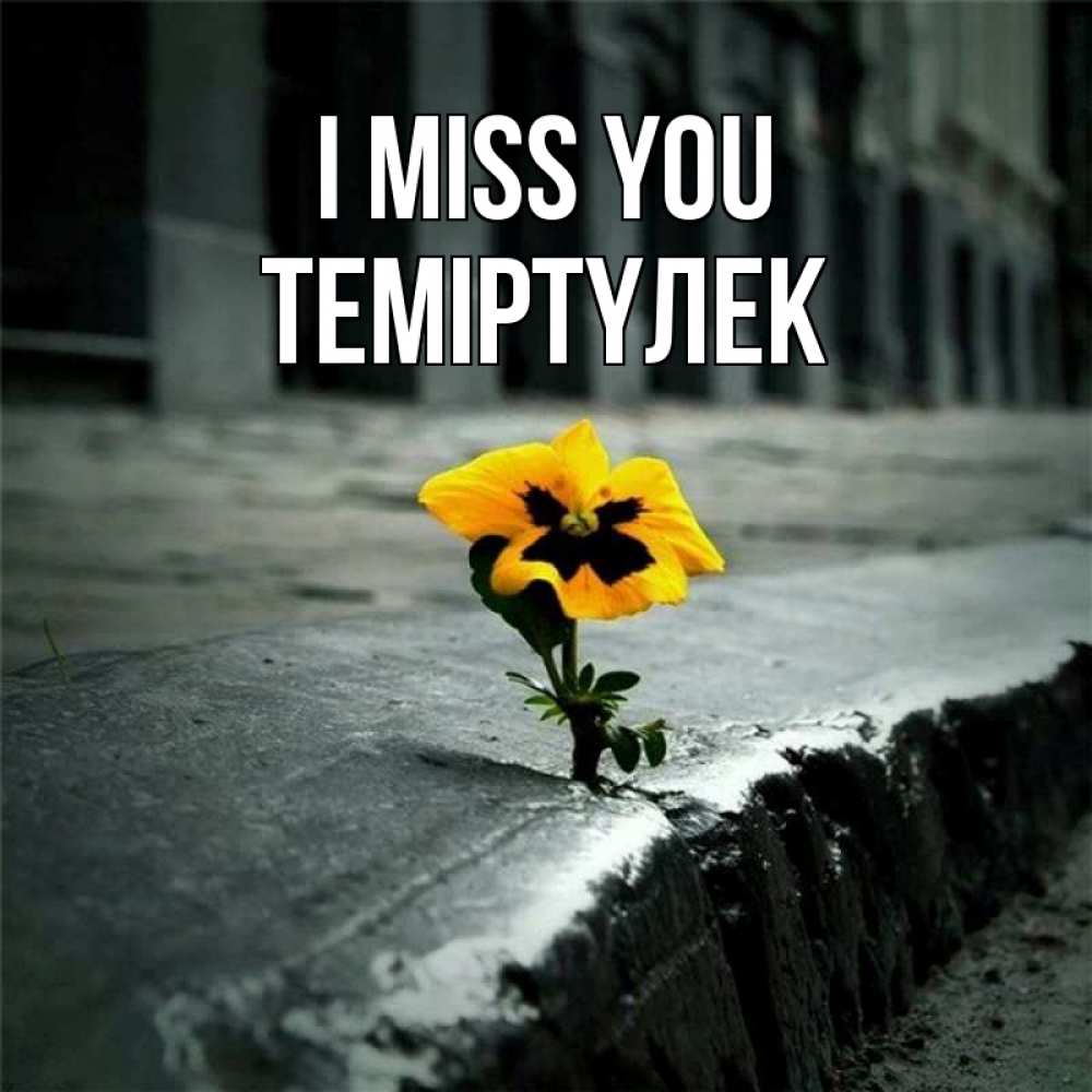 Greetings card с именем, ТЕМІРТҮЛЕК I miss you надеюсь будет лучше Greetings with text for free download 