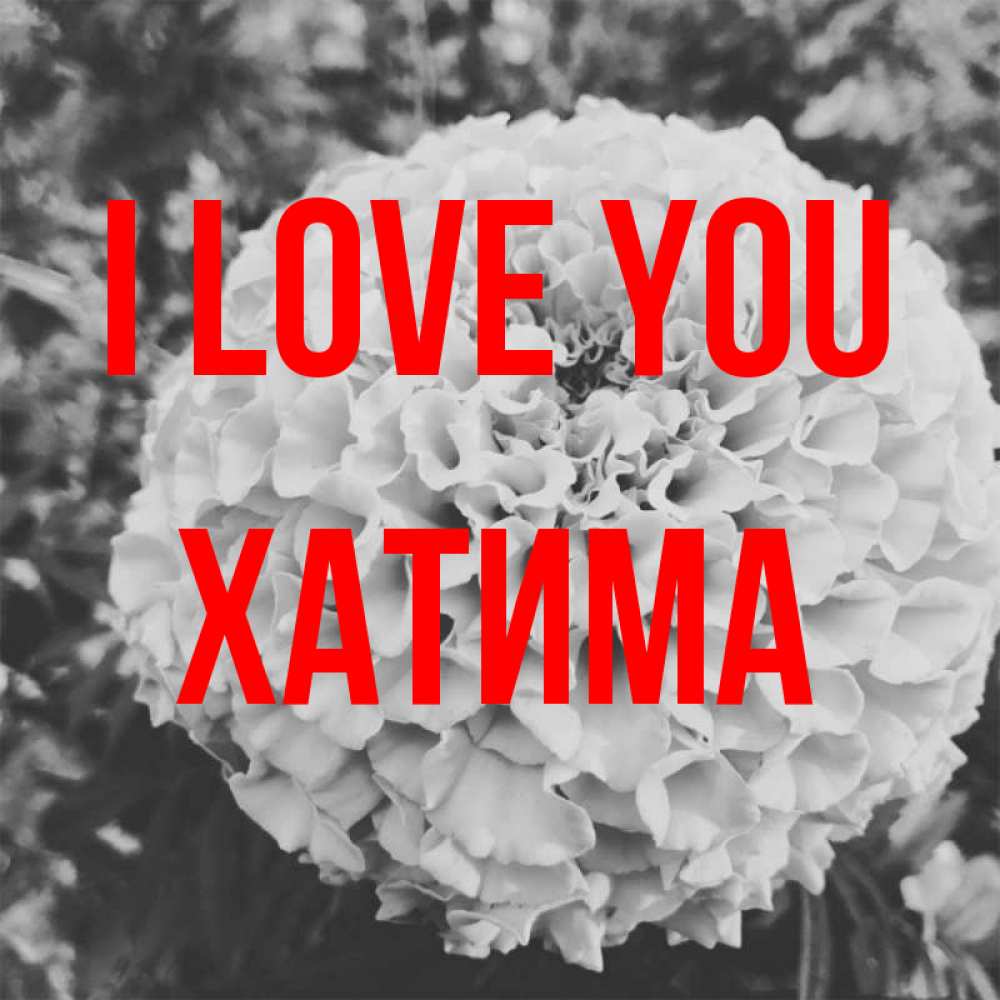 Greetings card с именем, ХАТИМА I love you подпись Greetings with text for free download 