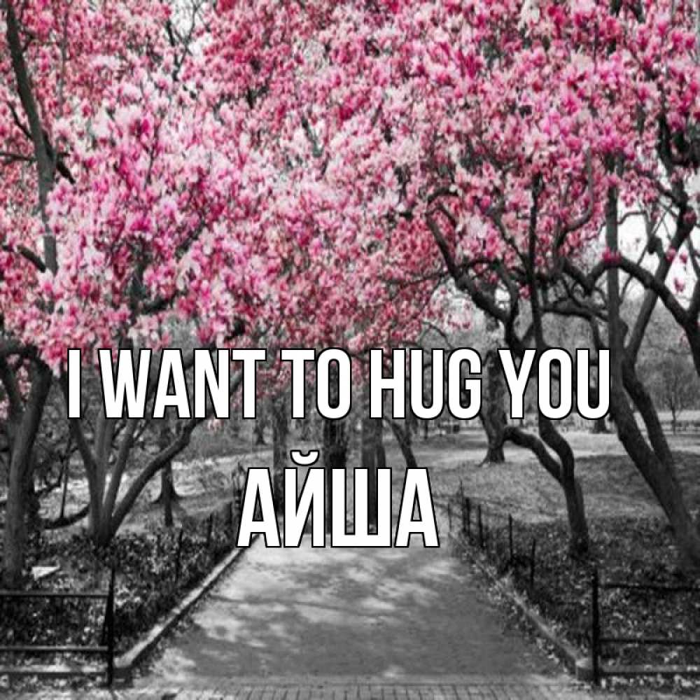 Greetings card с именем, АЙША I want to hug you обработанное фото Greetings with text for free download 