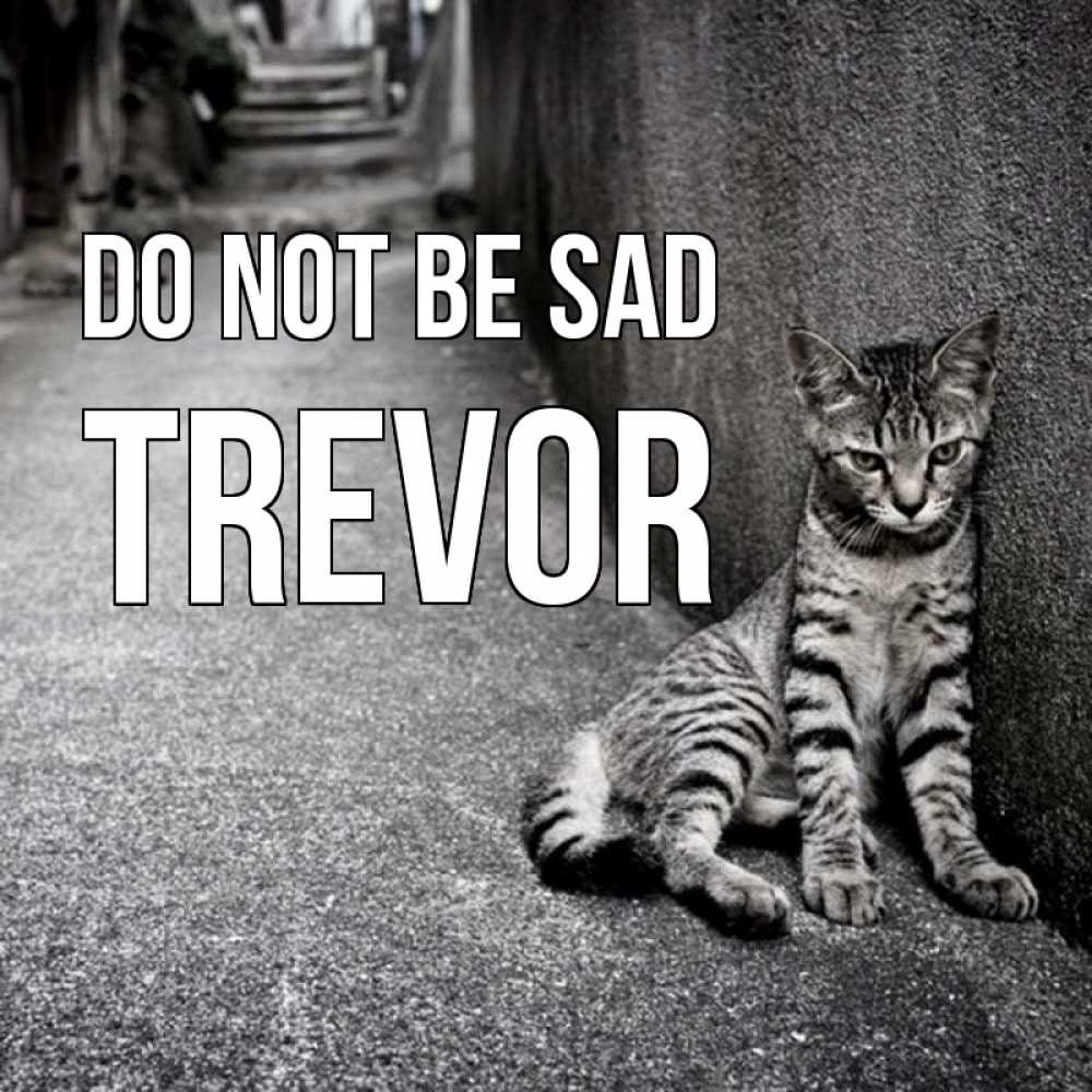 Greetings card с именем, Trevor Do not be sad скучающий котик Greetings with text for free download 