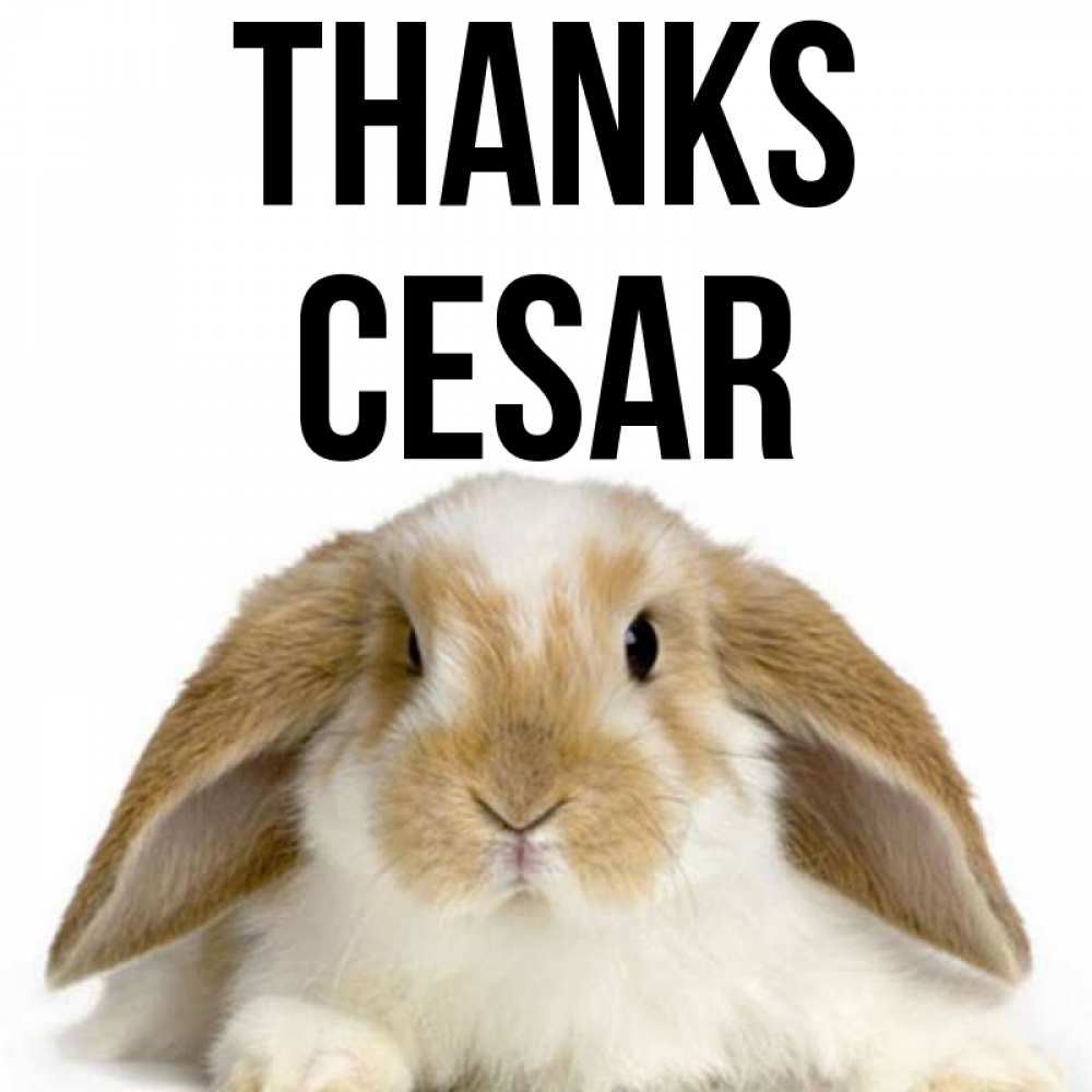 Greetings card с именем, Cesar Thanks коричнево белый заяц Greetings with text for free download 