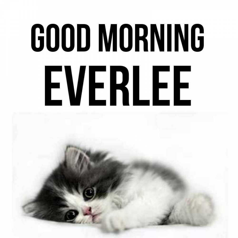 Greetings card с именем, Everlee Good morning кот лапки Greetings with text for free download 