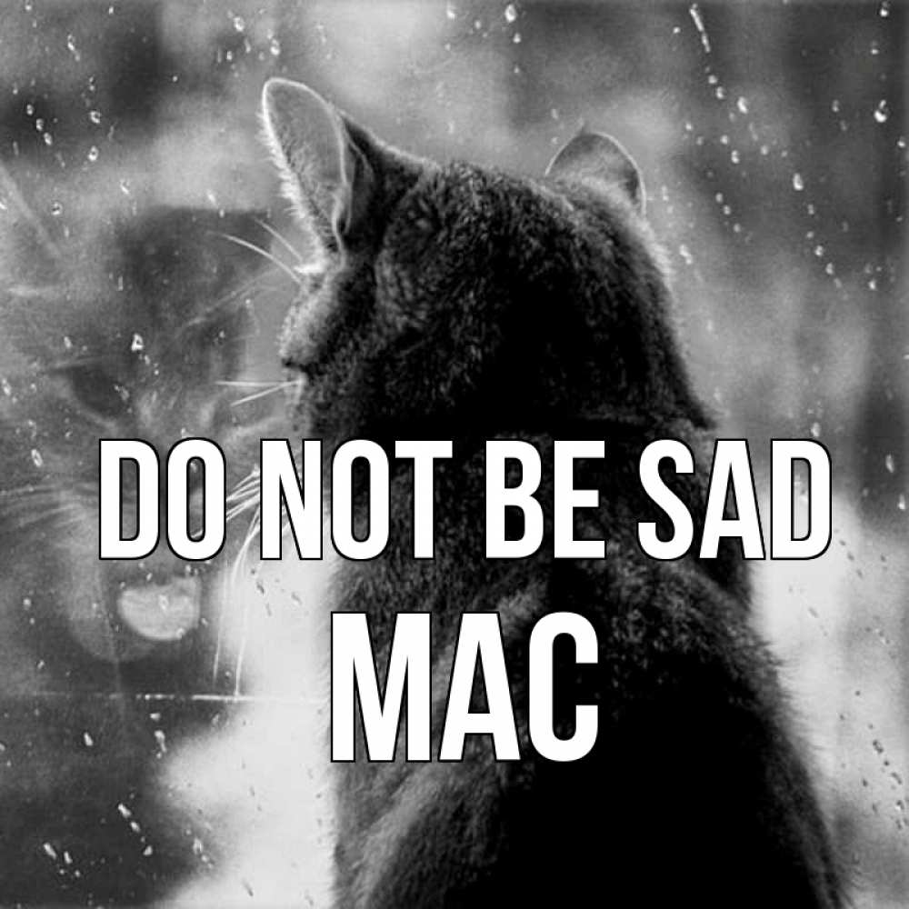 Greetings card с именем, Mac Do not be sad отражение кота 1 Greetings with text for free download 