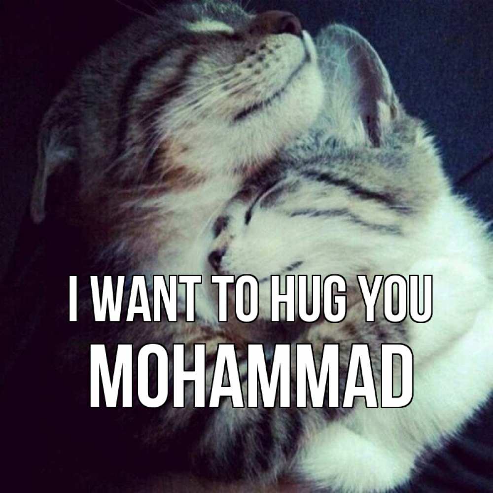 Greetings card с именем, Mohammad I want to hug you полосатики Greetings with text for free download 