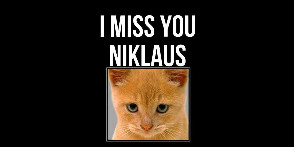 Greetings card с именем, Niklaus I miss you открытки рыжий котенок скучает по тебе Greetings with text for free download 