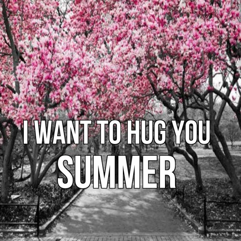 Greetings card с именем, Summer I want to hug you обработанное фото Greetings with text for free download 