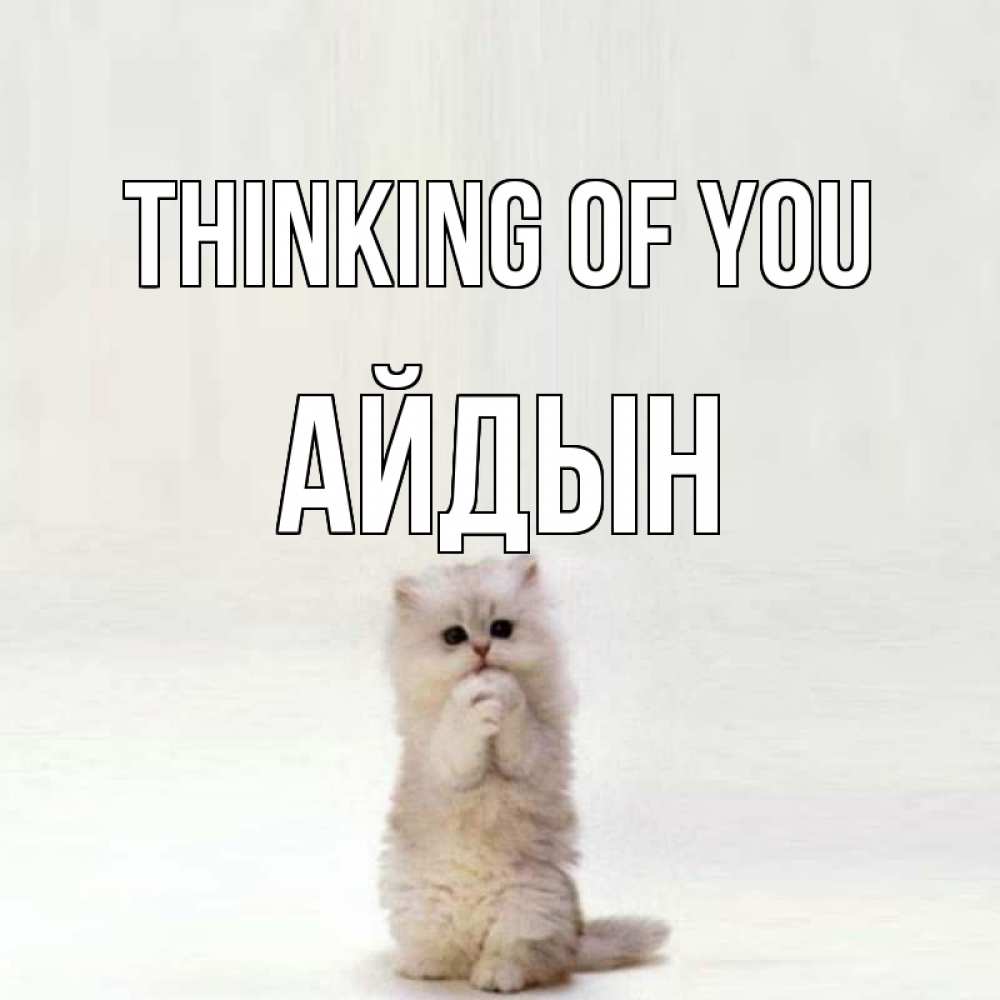 Greetings card с именем, Айдын Thinking of you кот стоит на задних лапах Greetings with text for free download 