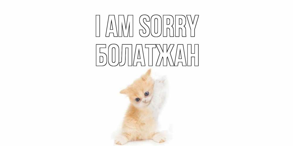 Greetings card с именем, Болатжан I am sorry кот Greetings with text for free download 
