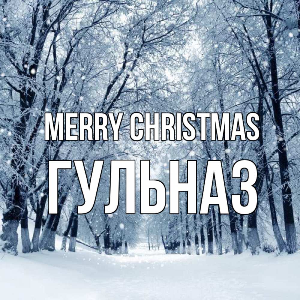 Greetings card с именем, Гульназ Merry Christmas снег, лес, парк Greetings with text for free download 