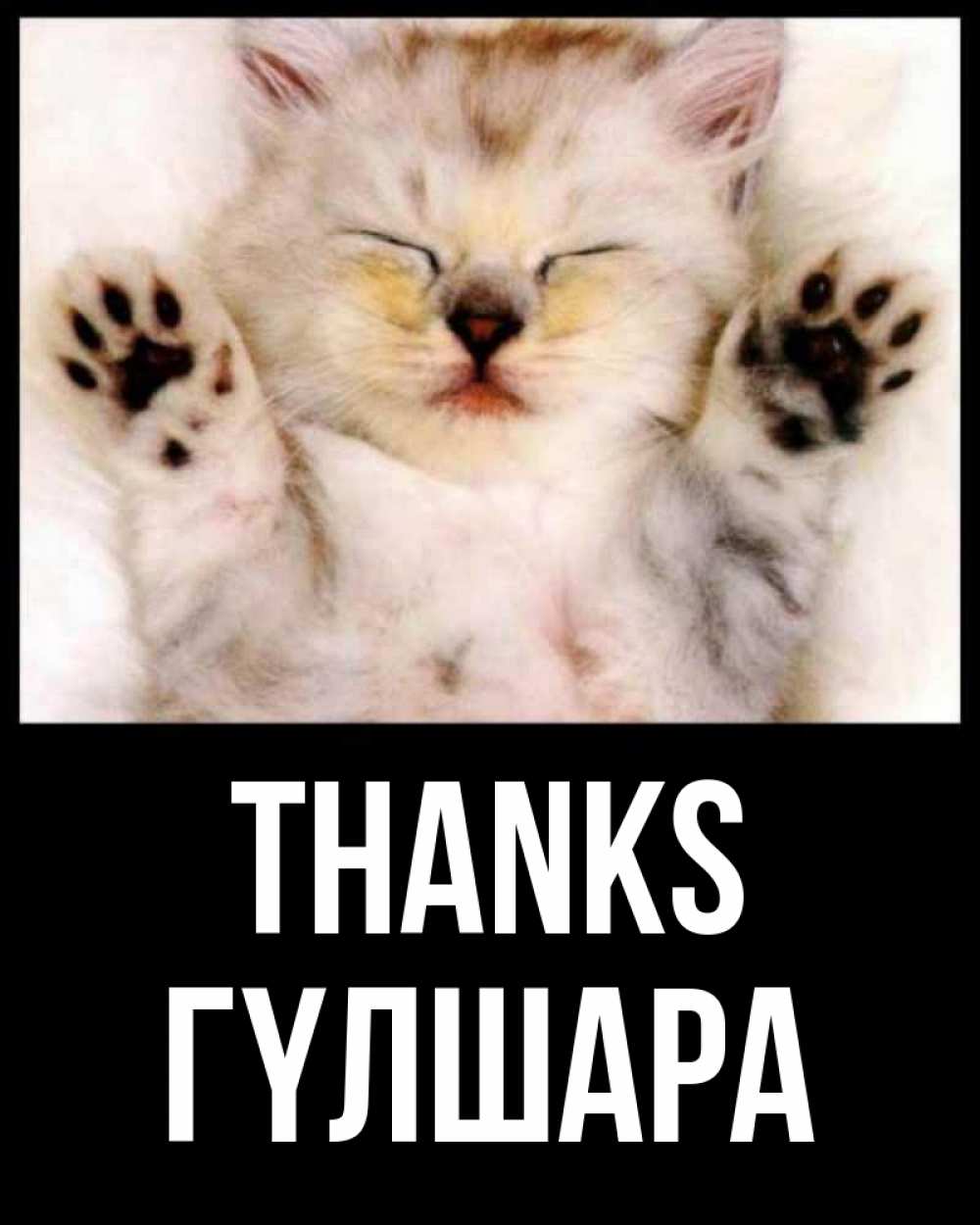 Greetings card с именем, ГҮЛШАРА Thanks маленький котенок Greetings with text for free download 