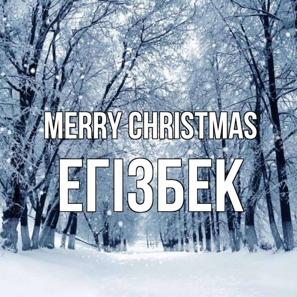 Greetings card с именем, Егізбек Merry Christmas снег, лес, парк Greetings with text for free download 