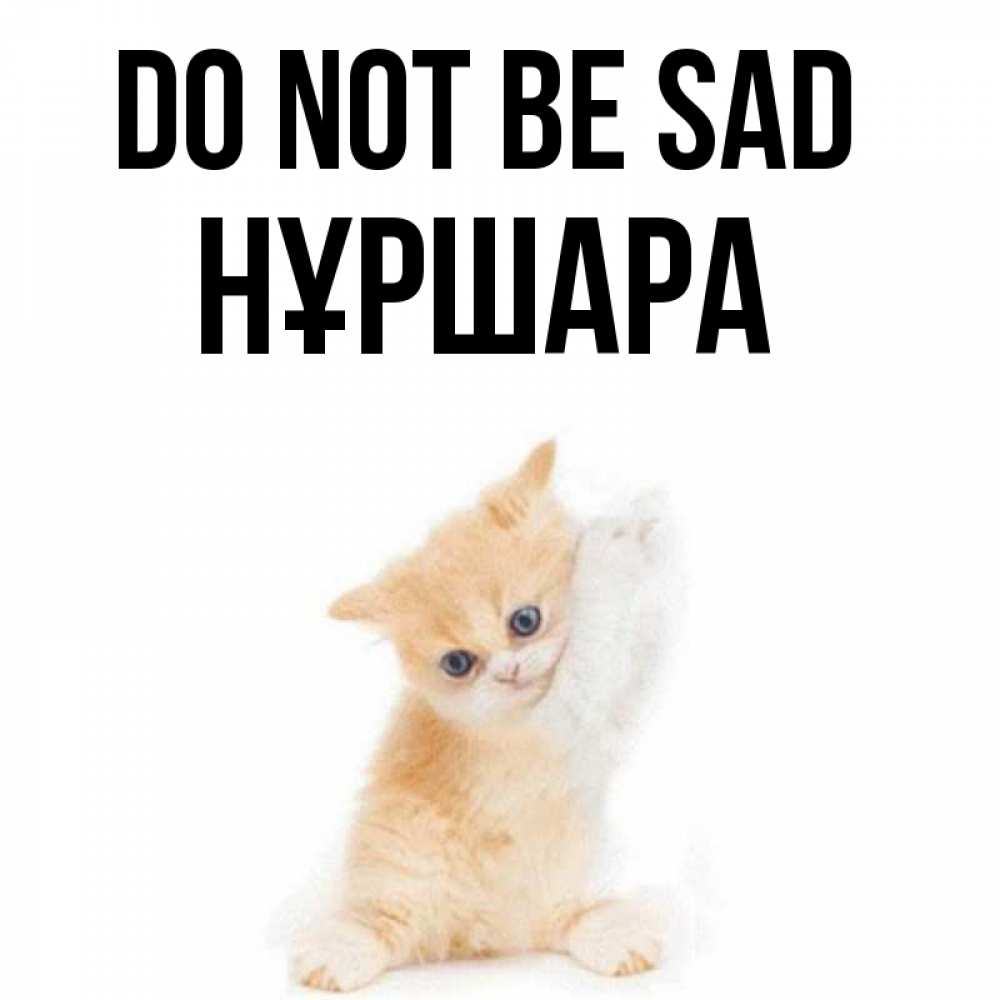 Greetings card с именем, НҰРШАРА Do not be sad просящий кот Greetings with text for free download 