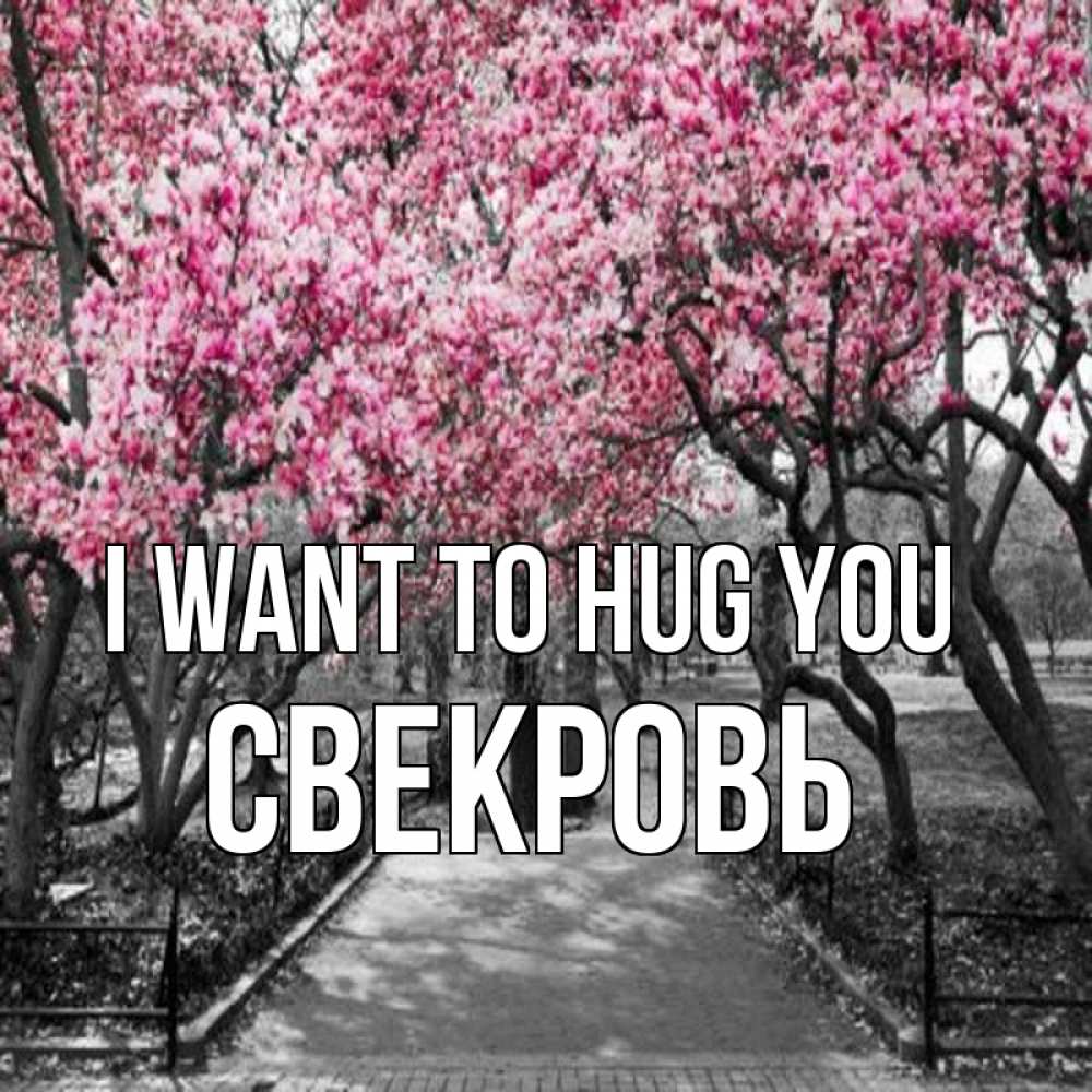 Greetings card с именем, Свекровь I want to hug you обработанное фото Greetings with text for free download 