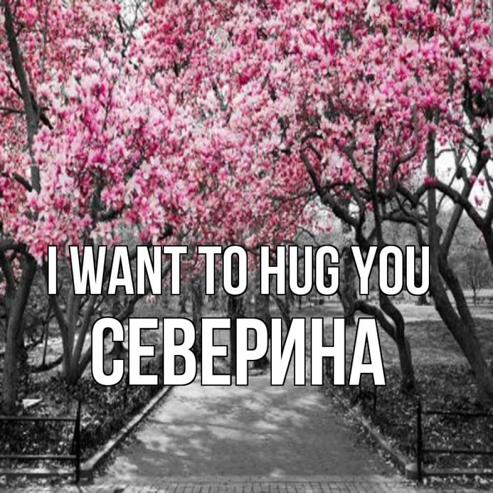 Greetings card с именем, Северина I want to hug you обработанное фото Greetings with text for free download 
