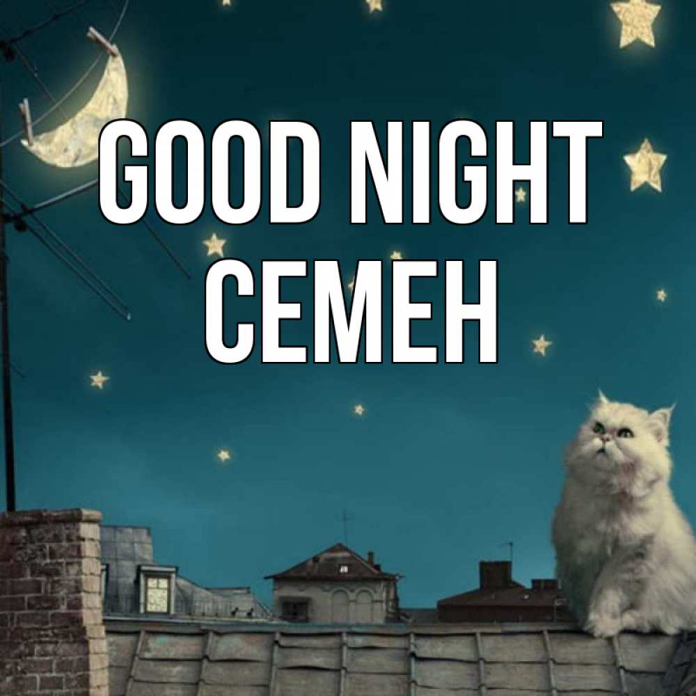Greetings card с именем, Семен Good night белый кот сидит на крыше Greetings with text for free download 