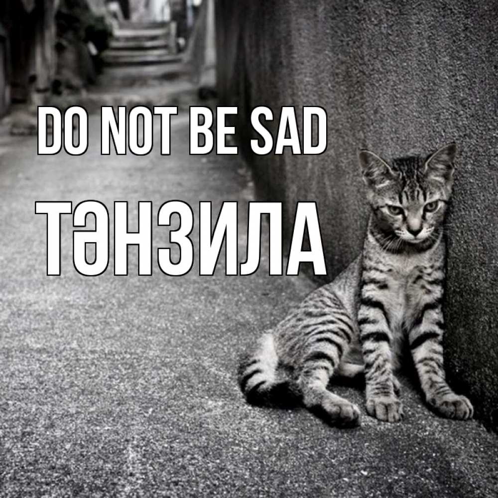 Greetings card с именем, ТӘНЗИЛА Do not be sad скучающий котик Greetings with text for free download 