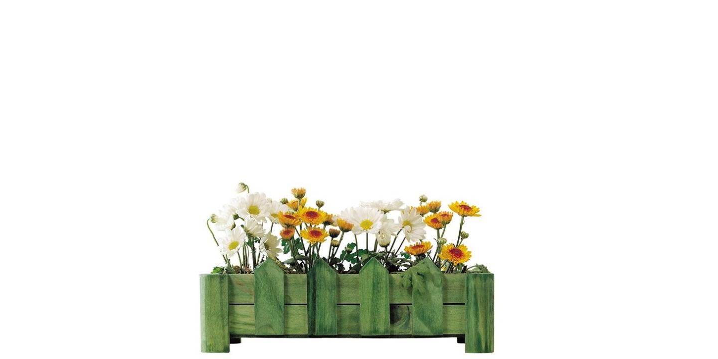 Открытка доброе утро с цветами цветы Good morning 