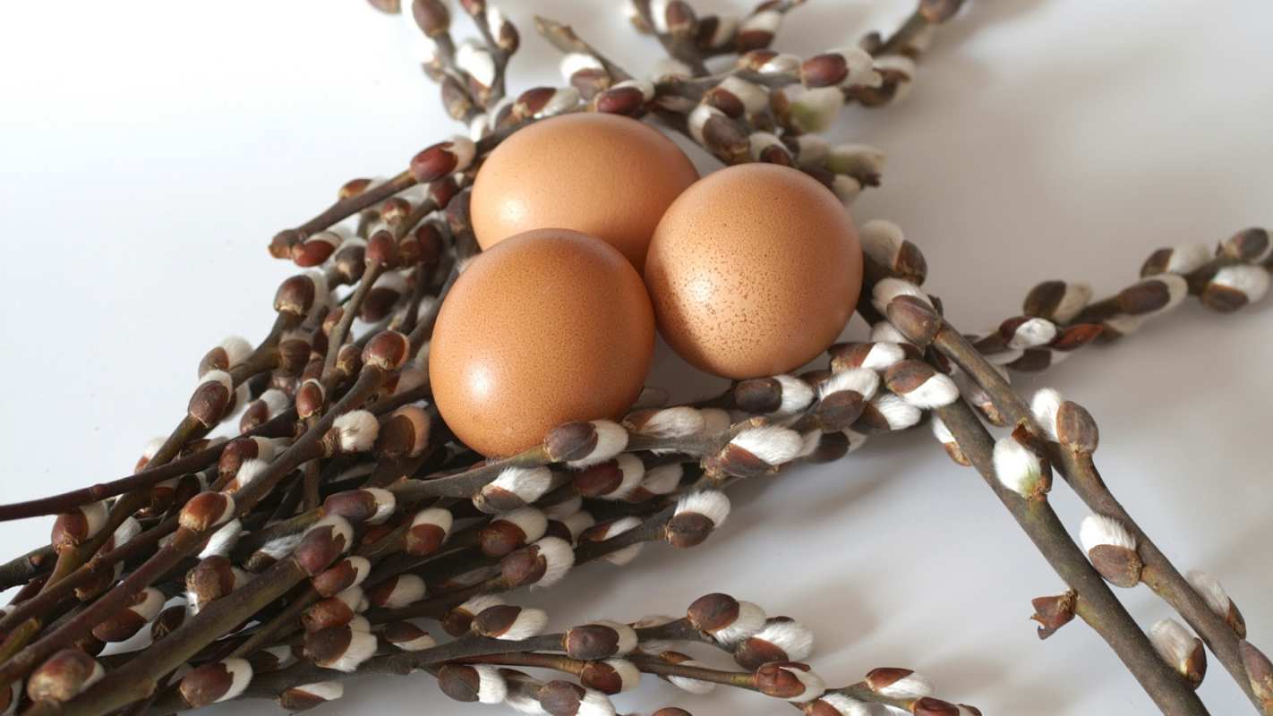 Открытка верба и яички 1 верба 1 Happy Palm Sunday 