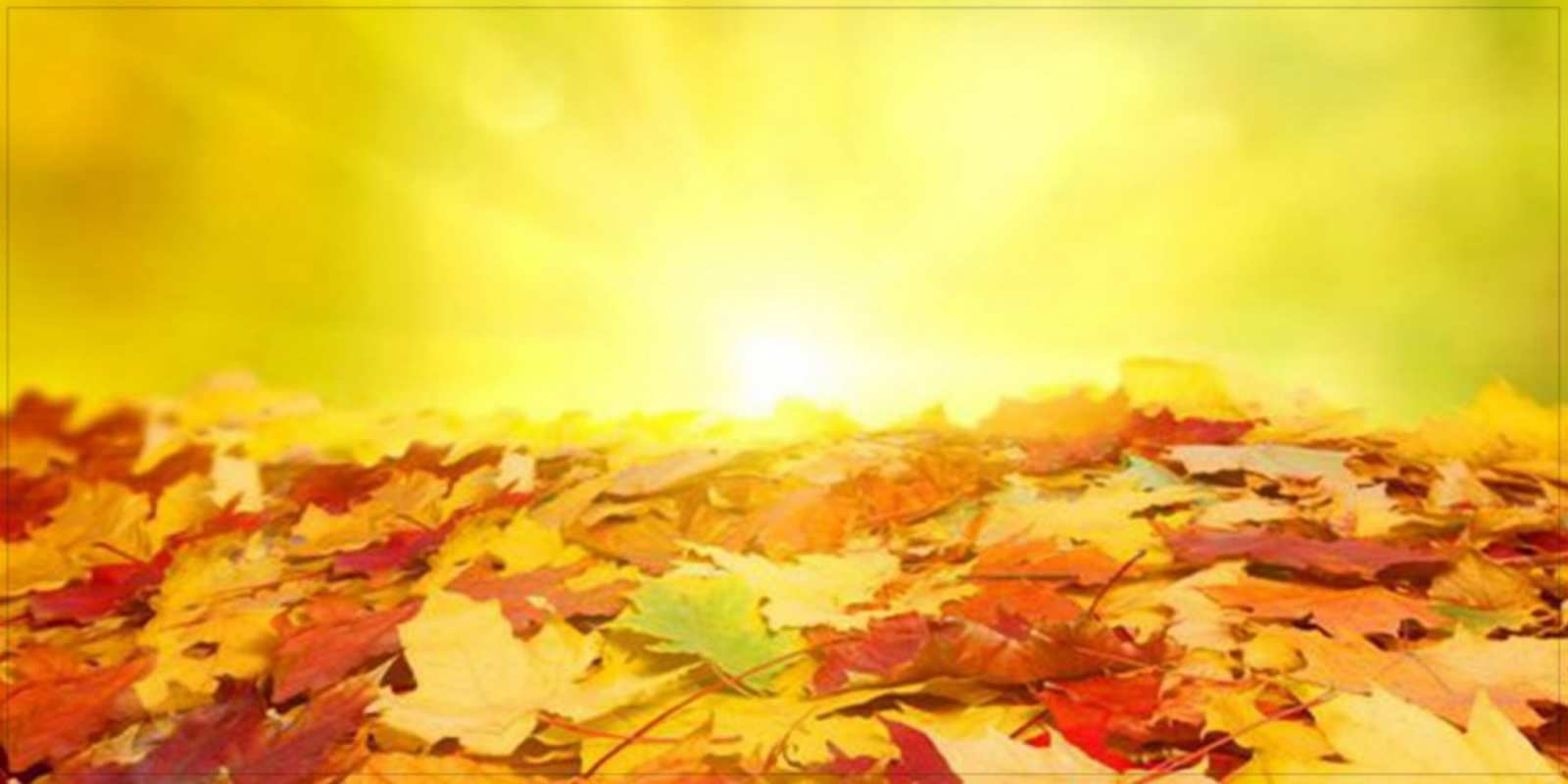 Открытка осенний листопад пожелания удачного дня Have a good day 