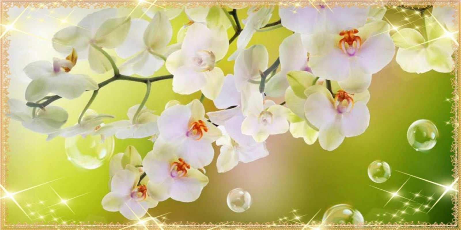 Открытка белые цветы на 8 марта открытка с цветами на международный женский день happy women`s day 