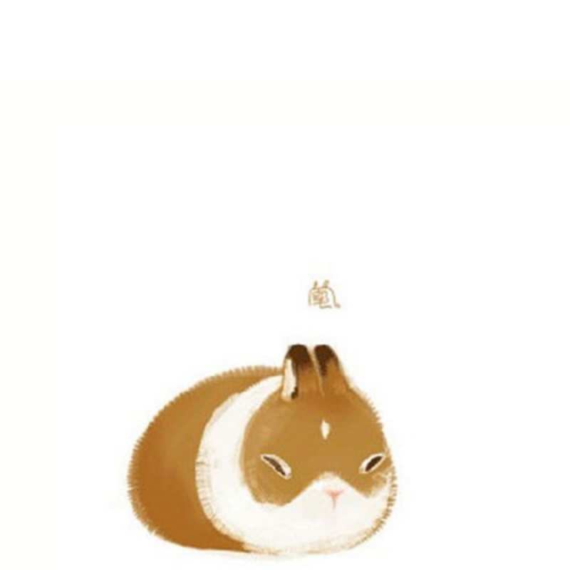 Открытка морская свинка желает лучшего  хорошего утречка  Good morning 