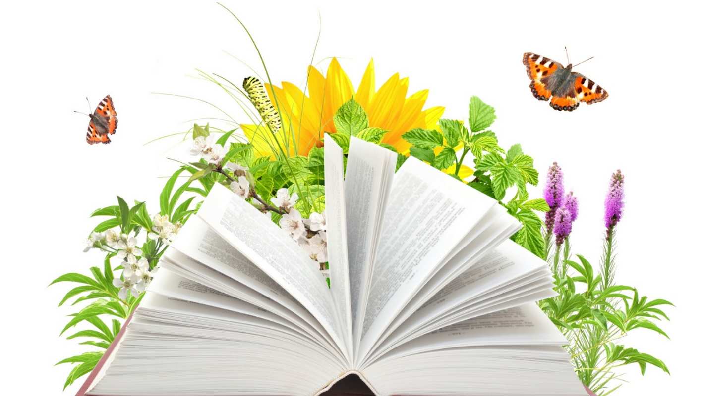 Открытка книга и цветы  с днем учителя   Happy Teacher`s Day 