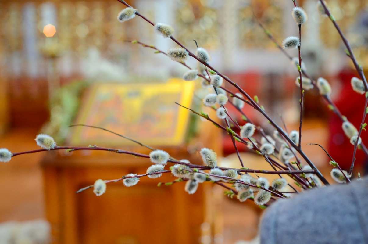 Открытка верба и икона  верба  Happy Palm Sunday 