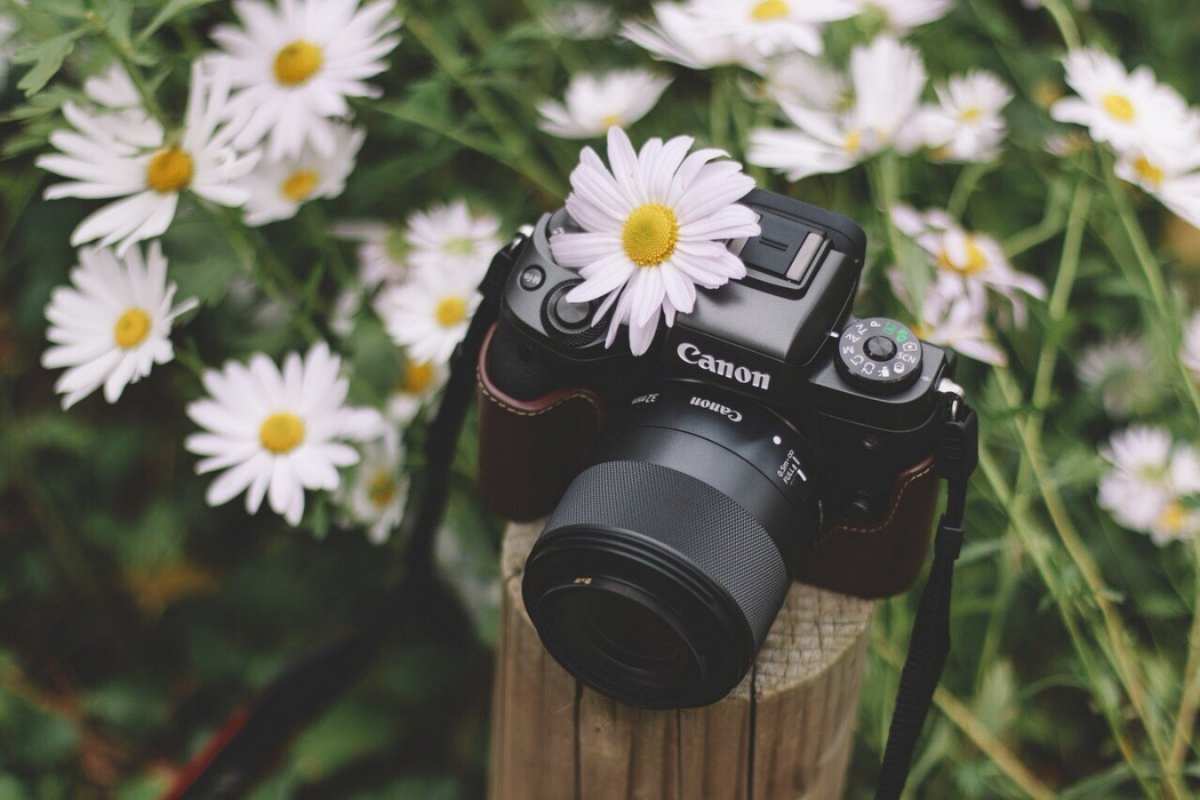 Открытка фотоаппарат кэнон  с днем фотографа  Happy photographer`s day 