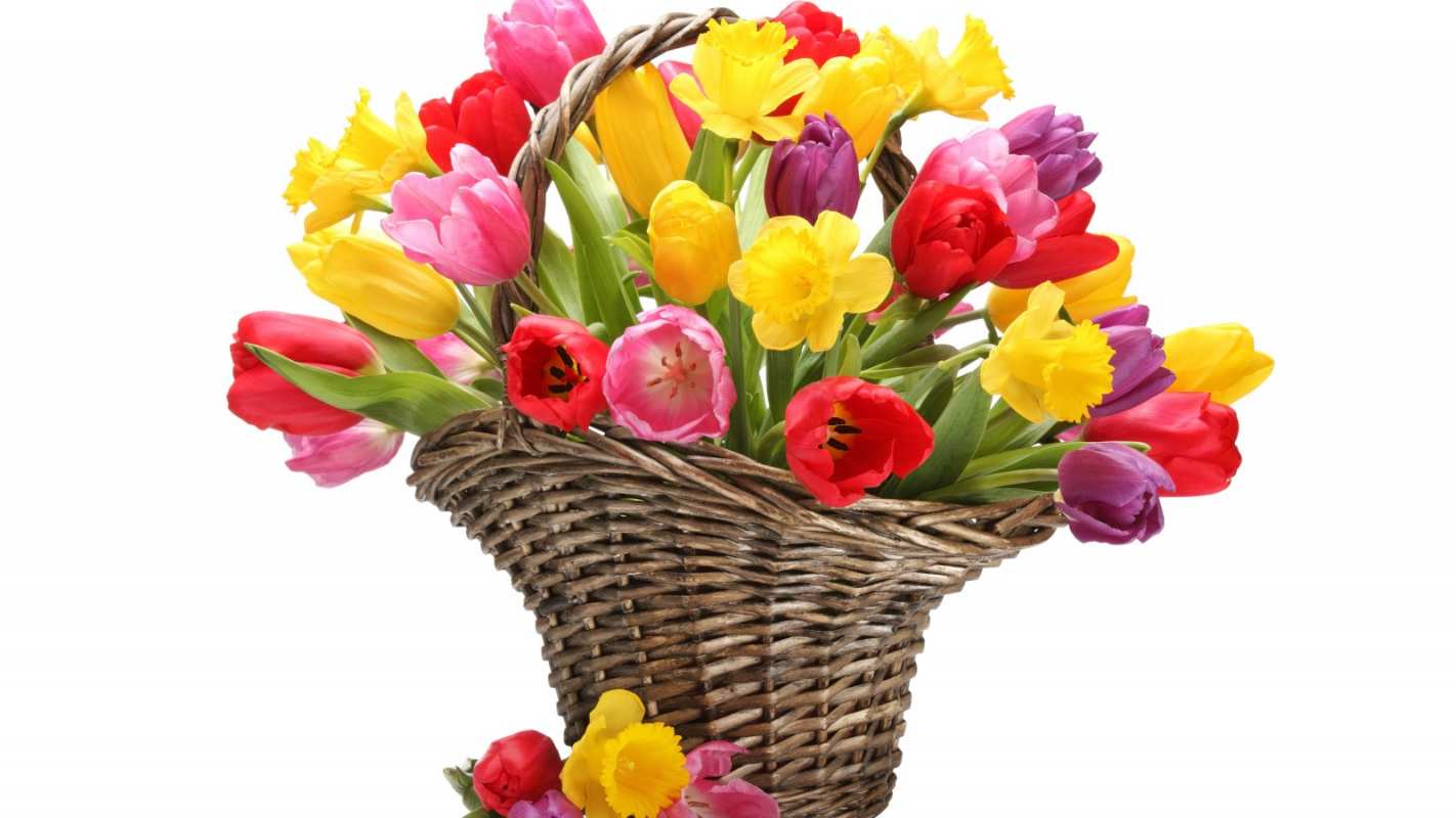 Открытка тюльпаны в корзине  с днем бухгалтера  happy accountant day 