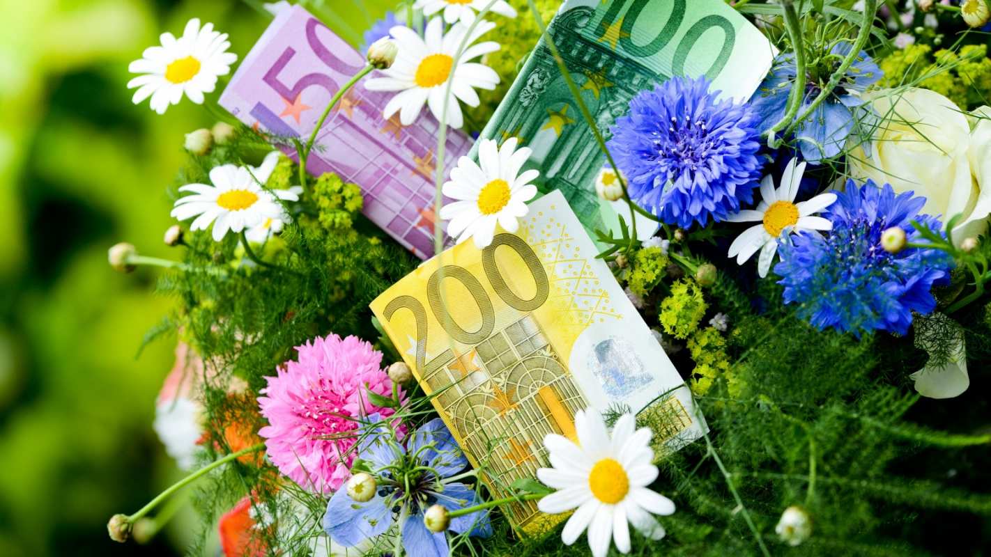 Открытка евро и цветы васильки с ромашками   с днем бухгалтера  happy accountant day 