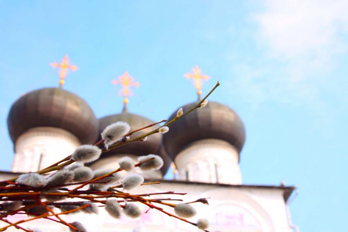 Открытка верба на фоне куполов  верба  Happy Palm Sunday 